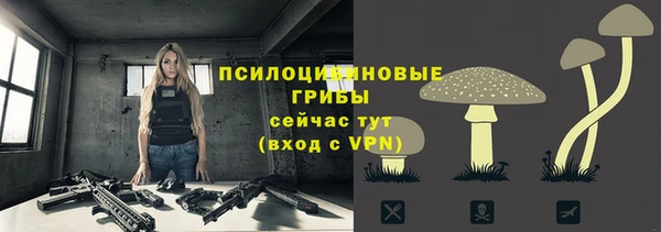 молекула духа Гусиноозёрск