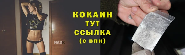 мяу мяу мука Горно-Алтайск