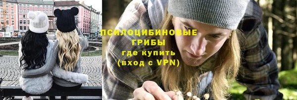 круглые Гусев