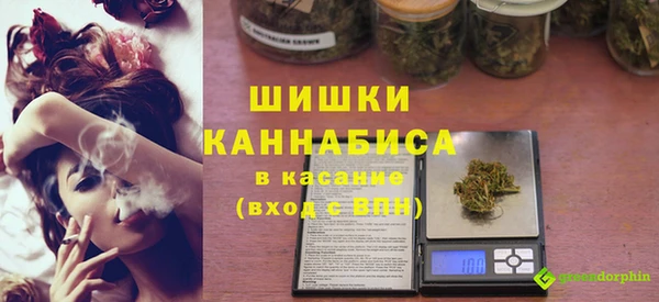 круглые Гусев